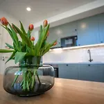 Stunning Loft With View & Free Garage Parking