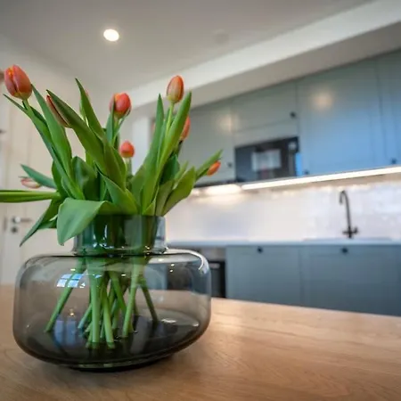 Stunning Loft With View & Free Garage Parking