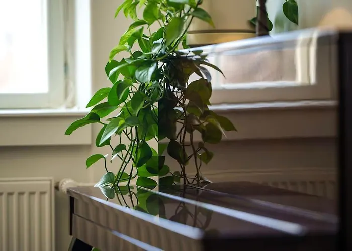 Stunning Loft With View & Free Garage Parking شقة